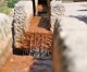Wassertunnel aus biblischen Zeiten in Ost-Jerusalem entdeckt