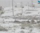 Wintersturm verursachte Chaos und einen tödlichen Autounfall