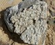 Antike Artefakte am Strand von Ashkelon gefunden
