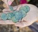 1400 Jahre alter seltener Münzschatz in Israel entdeckt