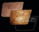 Moderne Technologie offenbart Inschrift aus der ersten Tempel-Ära