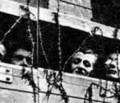 Wider das Vergessen: Das Regime der Nationalsozialisten und die Konzentrationslager; – Als die Massendeportationen begannen 9. Teil
