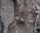Archäologen finden Moses-ähnlichen Stab aus einem alten kanaanitischen Tempel