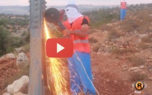 Araber kappen Stromleitungen in Israel. Foto: Screenshot