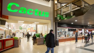 Ein Cactus supermarkt. Foto Cactus Website
