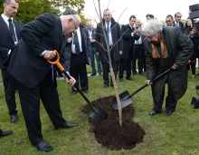 Rivlin pflanzt einen Baum in Theresienstadt. Foto: GPO