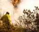 Palästinensische Feuerdrachen setzten 86 Hektar Getreidefelder in Brand