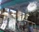 Palästinensische Terroristen überfallen einen Bus in Samaria
