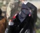 Polizei findet auf dem Tempelberg palästinensischen Vorrat an Brandbomben