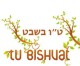 In Israel wird heute Tu BiShvat das Neujahrsfest der Bäume gefeiert
