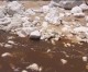 „Giftiger Tsunami“ von Abwässern tötet Pflanzen und Tiere in Israels Wüste