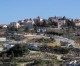 Jüdische Westbank-Gemeinschaften: Der Kern eines toleranten palästinensischen Staates