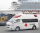 Zwei Israelis konnten das von Coronaviren betroffene Schiff in Japan verlassen