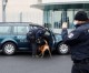 Auto rast ins Tor von Merkels Büro in Berlin